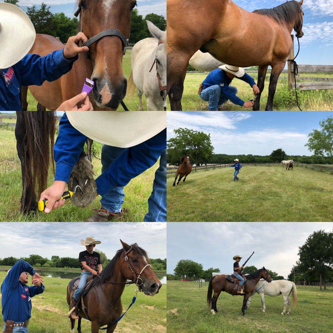 Horseback Riding Package